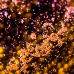 Reef-rejuvenating LarvalBot spreads coral babies by the millions